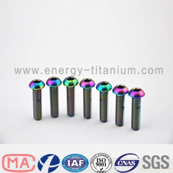 Gr5 titanium alloy Dome Head bolt - TB04